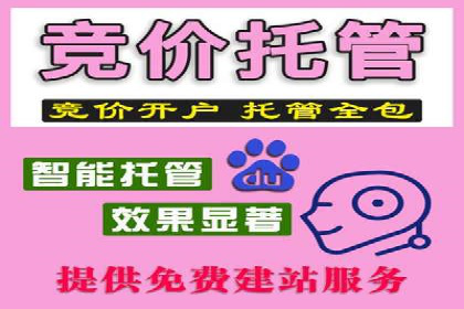 竞价广告的A/B测试：如何提升广告效果——以某品牌为例